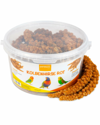 🐦🌿 petifool Kolbenhirse rot 500g - Vogelfutter - 100% Natur 500g (1er Pack) Angebot bei HelloDeals