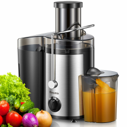 Reemix Entsafter Gemüse und Obst, Max Juicer Machine aus Edelstahl mit 3 Geschwindigkeitsstufen (Schwarz, 800W) Angebot bei HelloDeals
