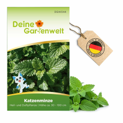 Anbausatz Katzenminze Samen 🌿🐈 - Nepeta cataria - Kräutersamen für 500 Pflanzen Angebot bei HelloDeals
