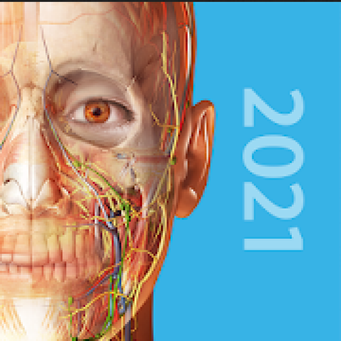 3D-Anatomieatlas des menschlichen Körpers 2021