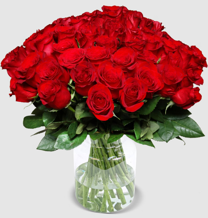 [Nur noch heute] 44 rote Rosen (40cm)