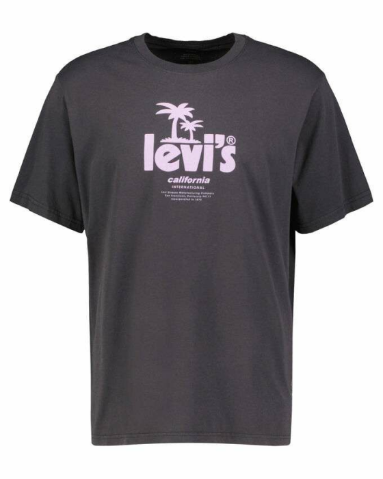 Levi's Herren T-Shirt "Poster Summ Relaxed Fit"