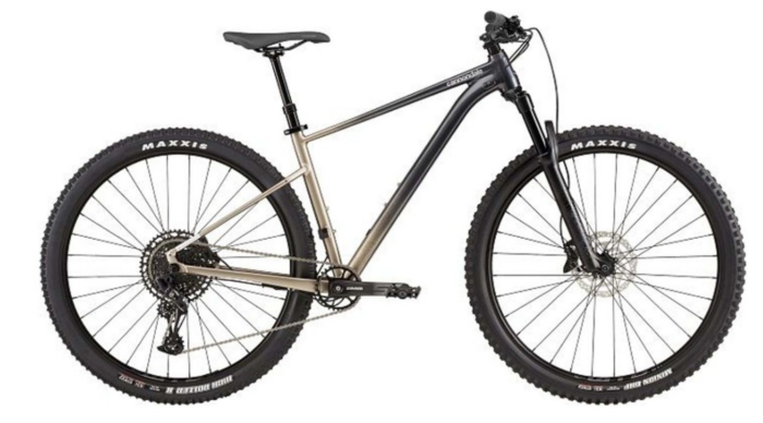 Cannondale Trail SL 1 - 29" MTB Hardtail 2021 | meteor grey