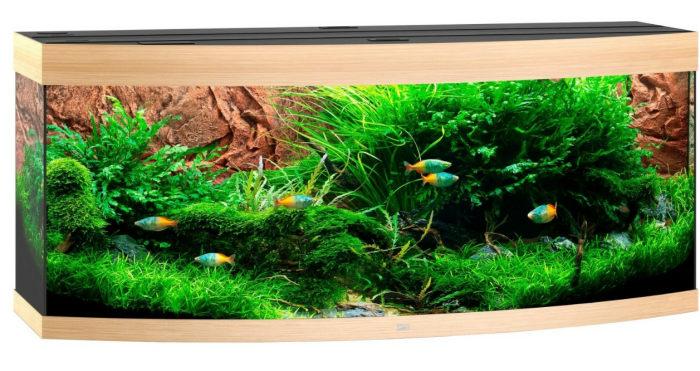 Aquarium JUWEL Vision 450 inkl. LED-Beleuchtung, Heizer, Filter
