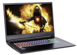 CAPTIVA Highend Gaming I64-142 Gaming-Notebook (43.94 cm/17.3 Zoll, Intel Core i7 der 9. Generation i7-9750H 11400H, GeForce® RTX 3050, 512 GB SSD)