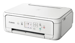 Canon PIXMA TS5151 Tintenstrahl-Multifunktionsdrucker A4, 3-in-1, Drucker, Kopierer, Scanner, Duplex, WLAN, Bluetooth