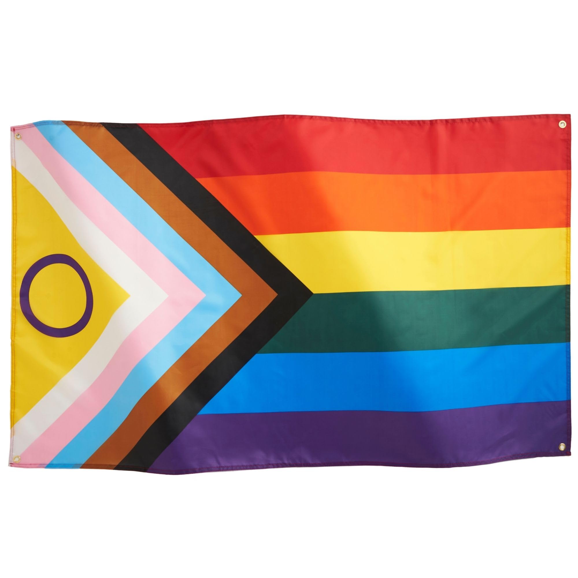Runesol Schwulenstolz Flagge 3x5 ft 🏳️‍🌈 91x152cm LSBTTIQ Parade Festival Karneval Premium-Flaggen Angebot bei HelloDeals