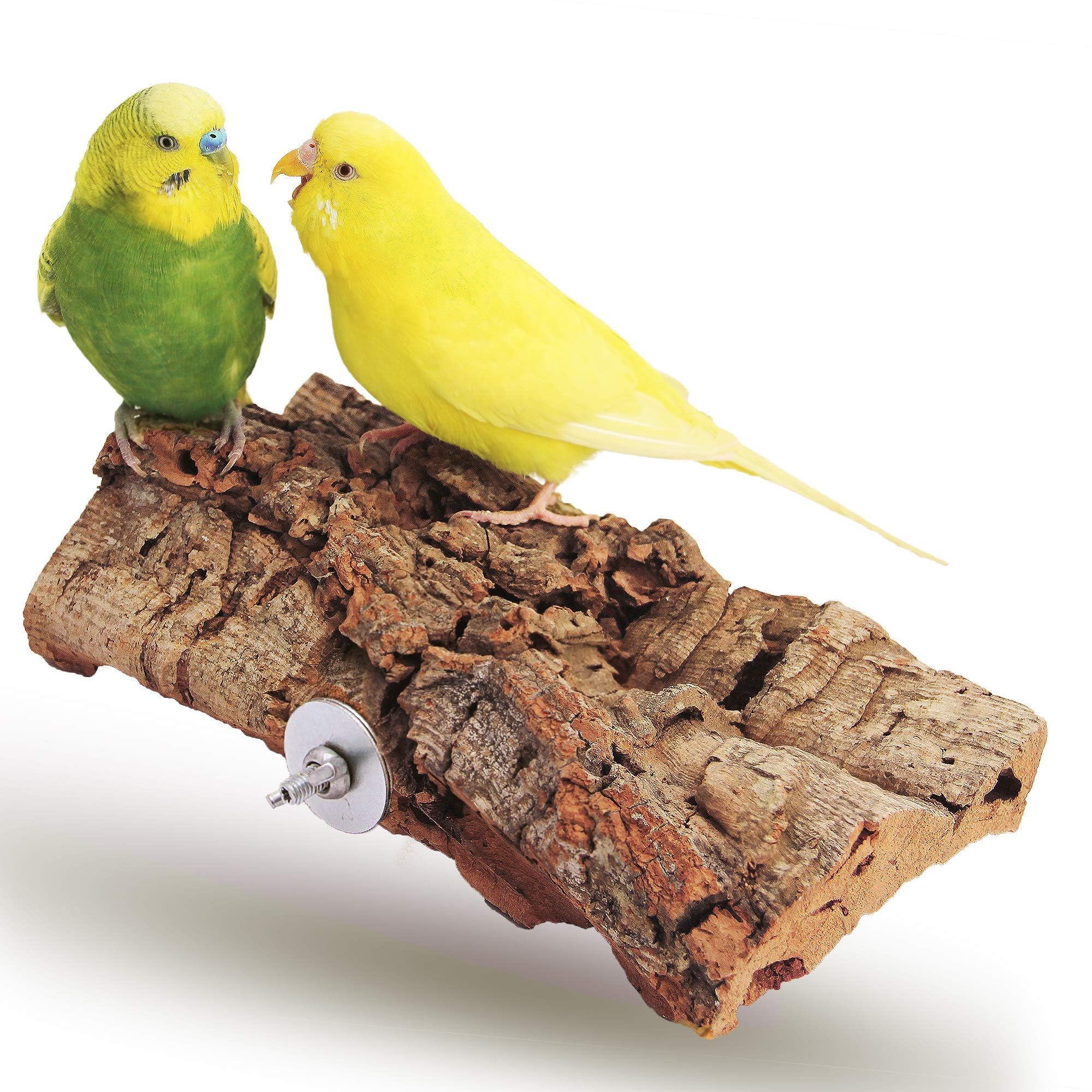 Vogelgaleria® Tolles Korksitzbrett groß für Vögel 🐦 | Wellensittich Kork Sitzbrett 20x10 cm 🌿 Angebot bei HelloDeals