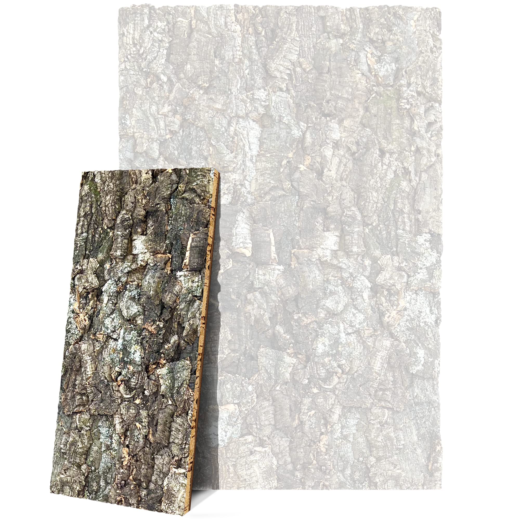 XL Korkrückwand (Rückwand Terrarium) im Forest-Stil 🌲🦎 Angebot bei HelloDeals