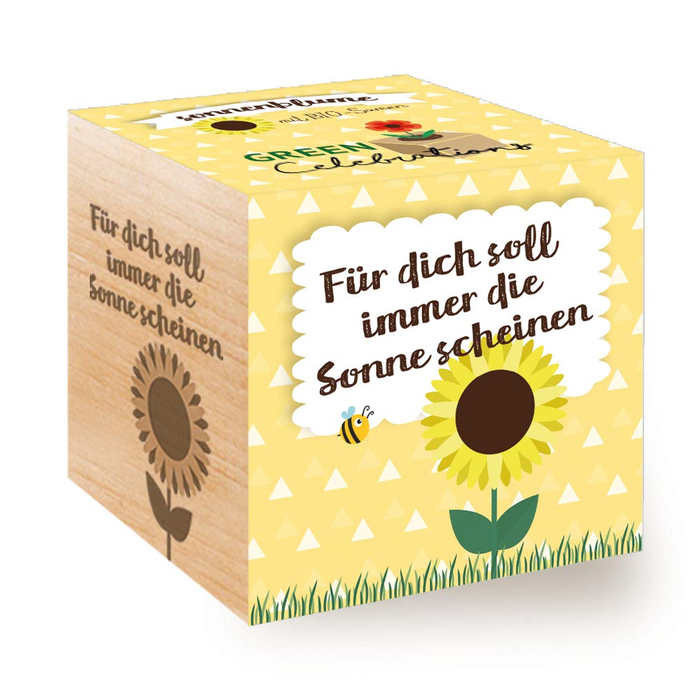 Feiere mit der Celebrations Ecocube 🌻🌱 Angebot bei HelloDeals