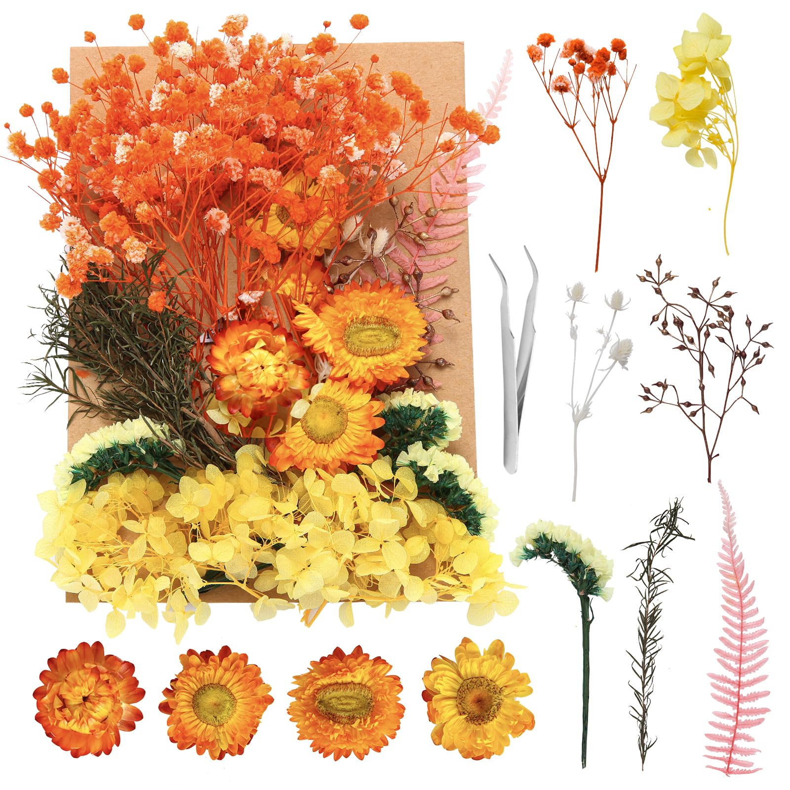 LVYUAN Wechselrichter 24V 230V 2000W 🔌🔋🔌 Angebot bei HelloDeals