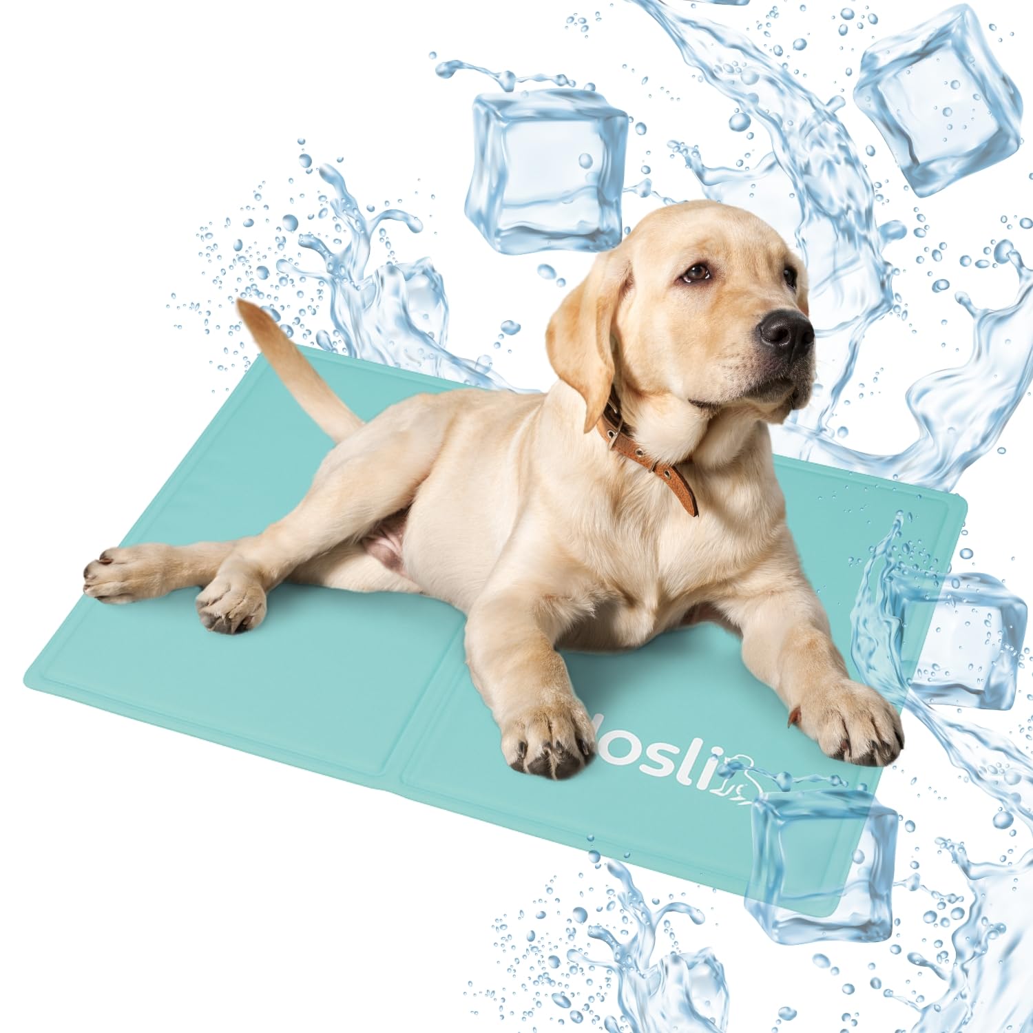 🐾 Angebotsangebot: Nosli Kühlmatte für Hunde, Katzen & Menschen (50x90cm) Ice Blue L Angebot bei HelloDeals