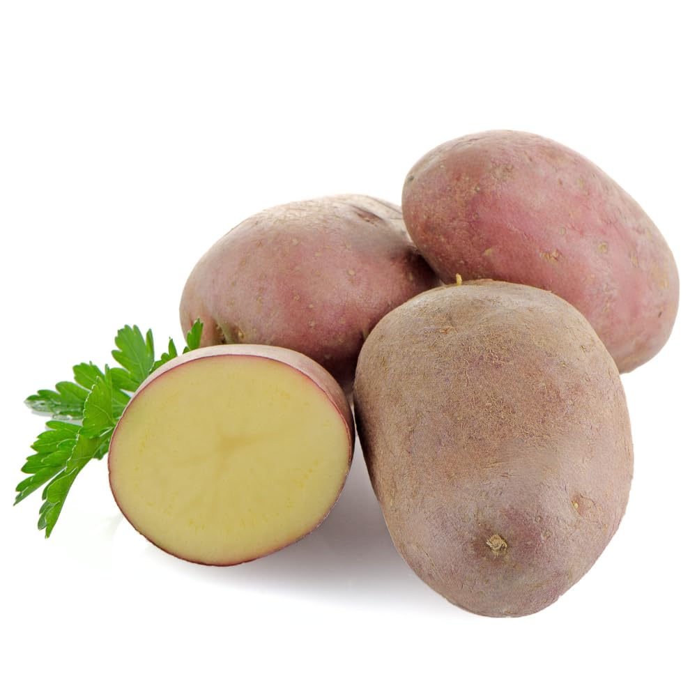 Kartoffeln | Sorte Laura | Rotschalige Speisekartoffeln aus der aktuellen Ernte Angebot bei HelloDeals