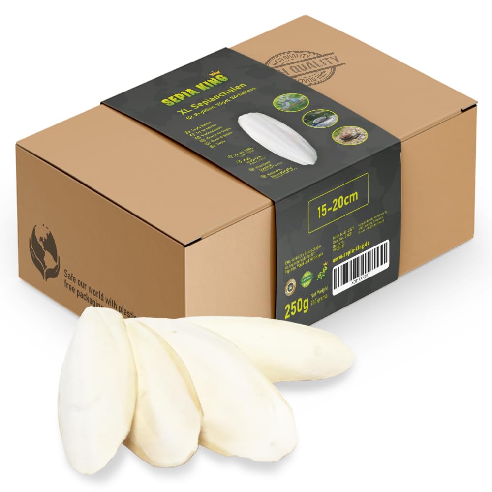 Sepia King Sepiaschalen XL Box 250g 15-20cm 🐢🦎🐦 Angebot bei HelloDeals
