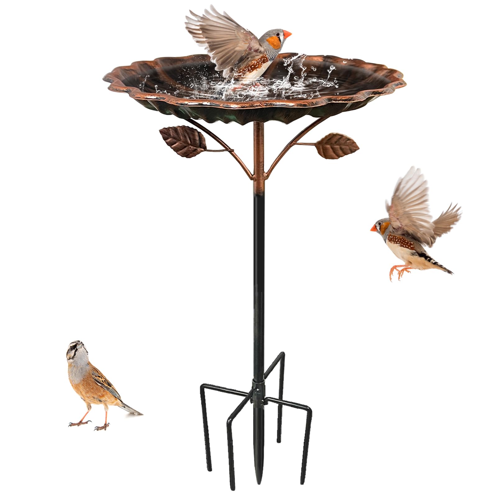 Metall Vogeltränke Stehend Groß Für Garten 5 Zackiger Sockel 🐦🌿 Angebot bei HelloDeals