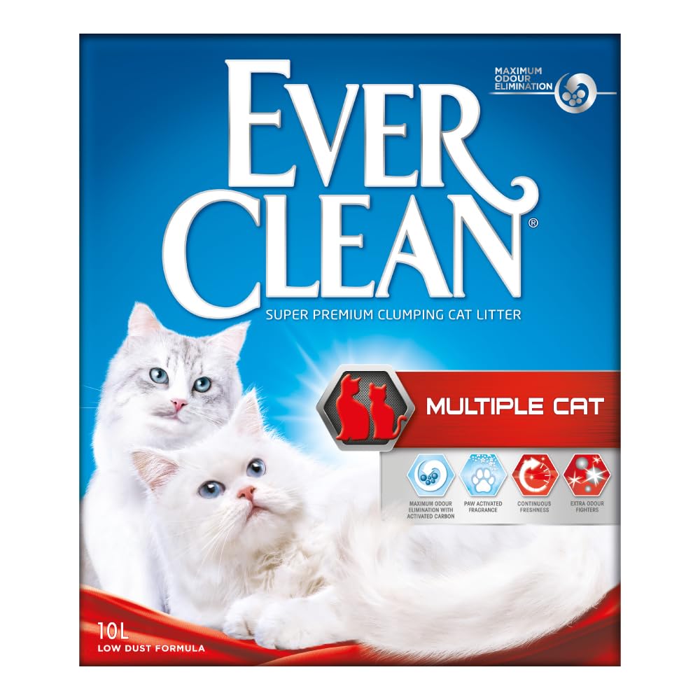 🐱🌟 Ever Clean Katzenstreu für mehrere Katzen - Unschlagbare Klumpenstärke! 🌿 Angebot bei HelloDeals