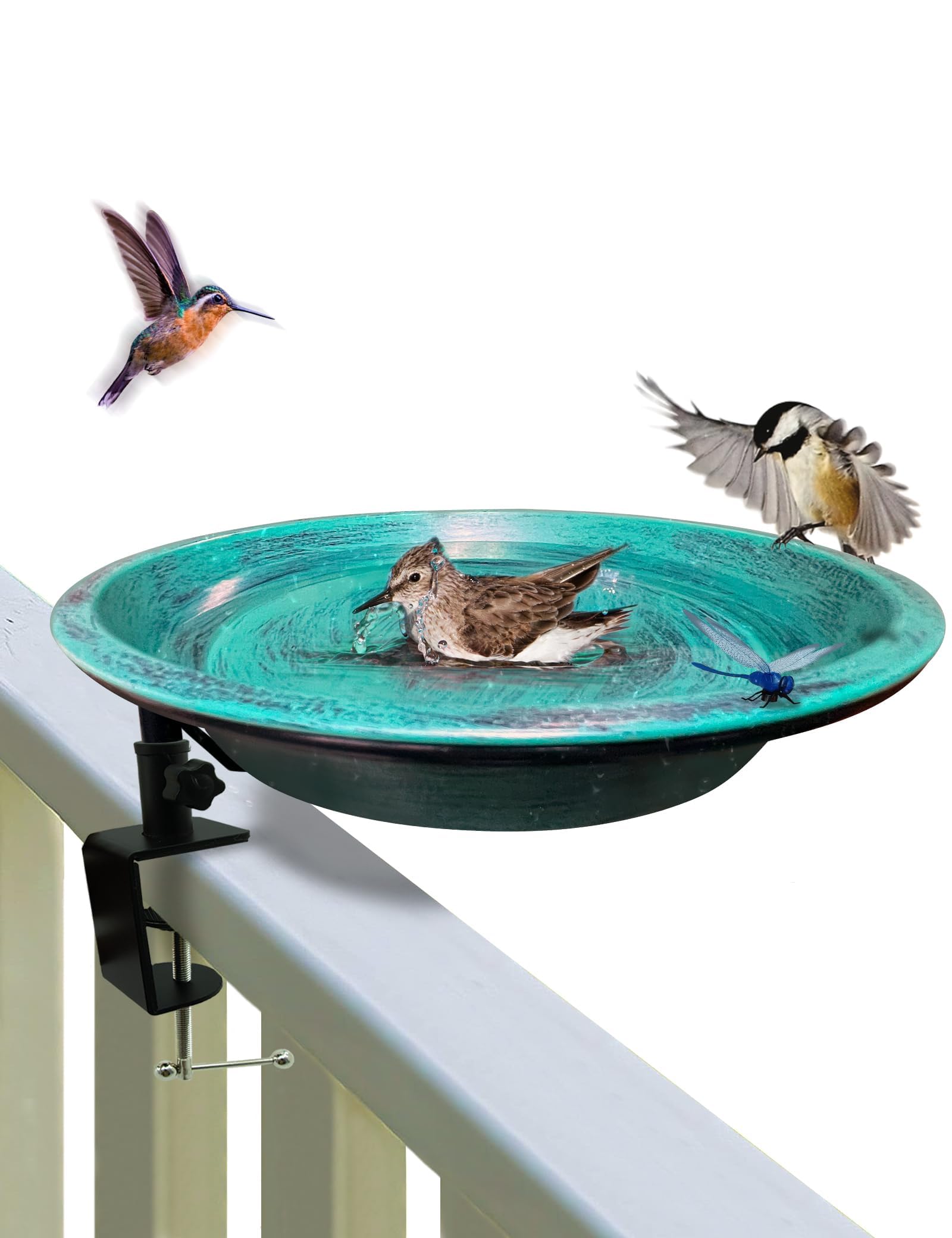 🐦🌿 Vogeltränke für den Außenbereich! Top-Angebot 🌟 Angebot bei HelloDeals