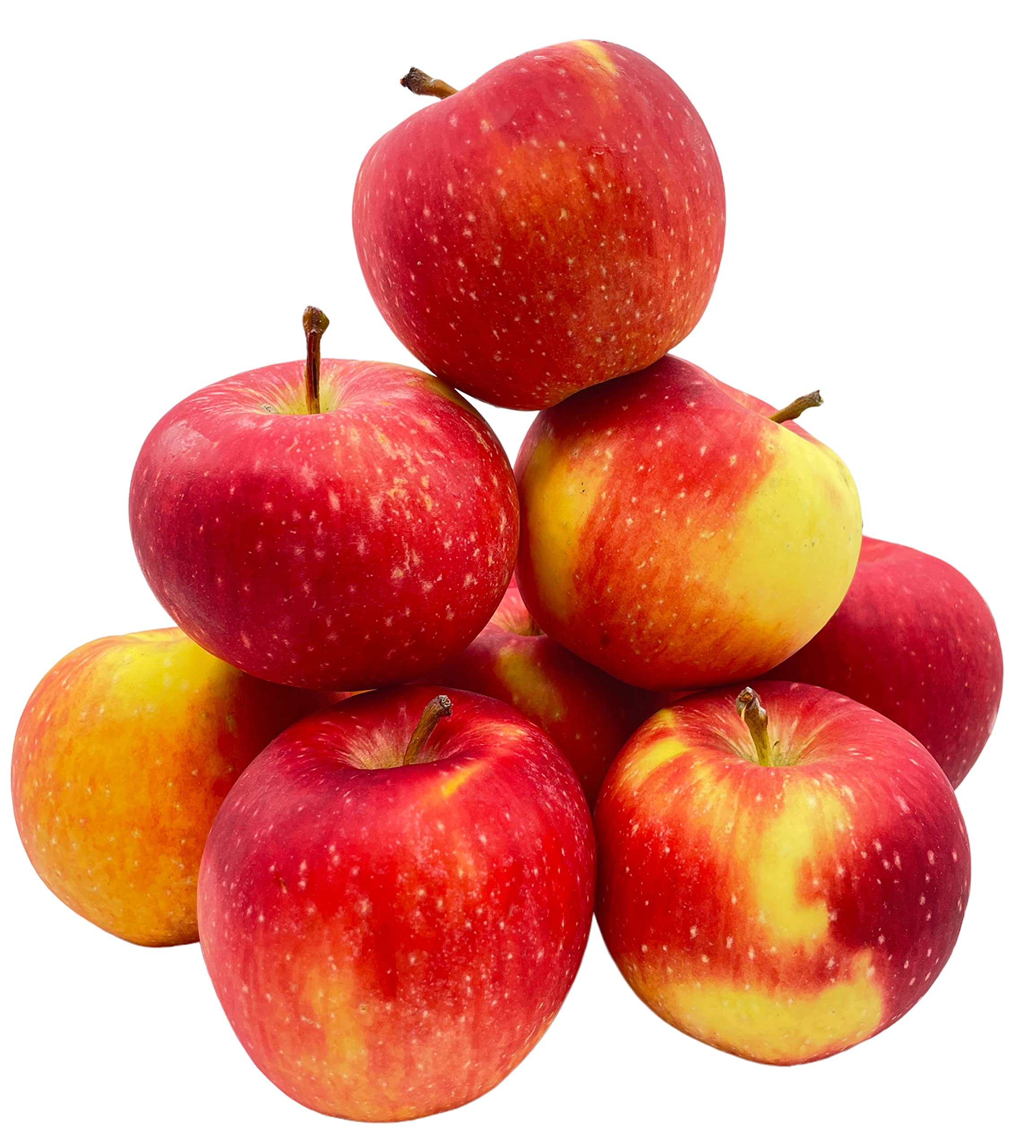 Bleichhof Äpfel Gräfin Goldach Allergikerfreundlich - Süß-Säuerliche Sorte aus der Pfalz (10kg) Neue Ernte 10.0 Kilogramm Angebot bei HelloDeals