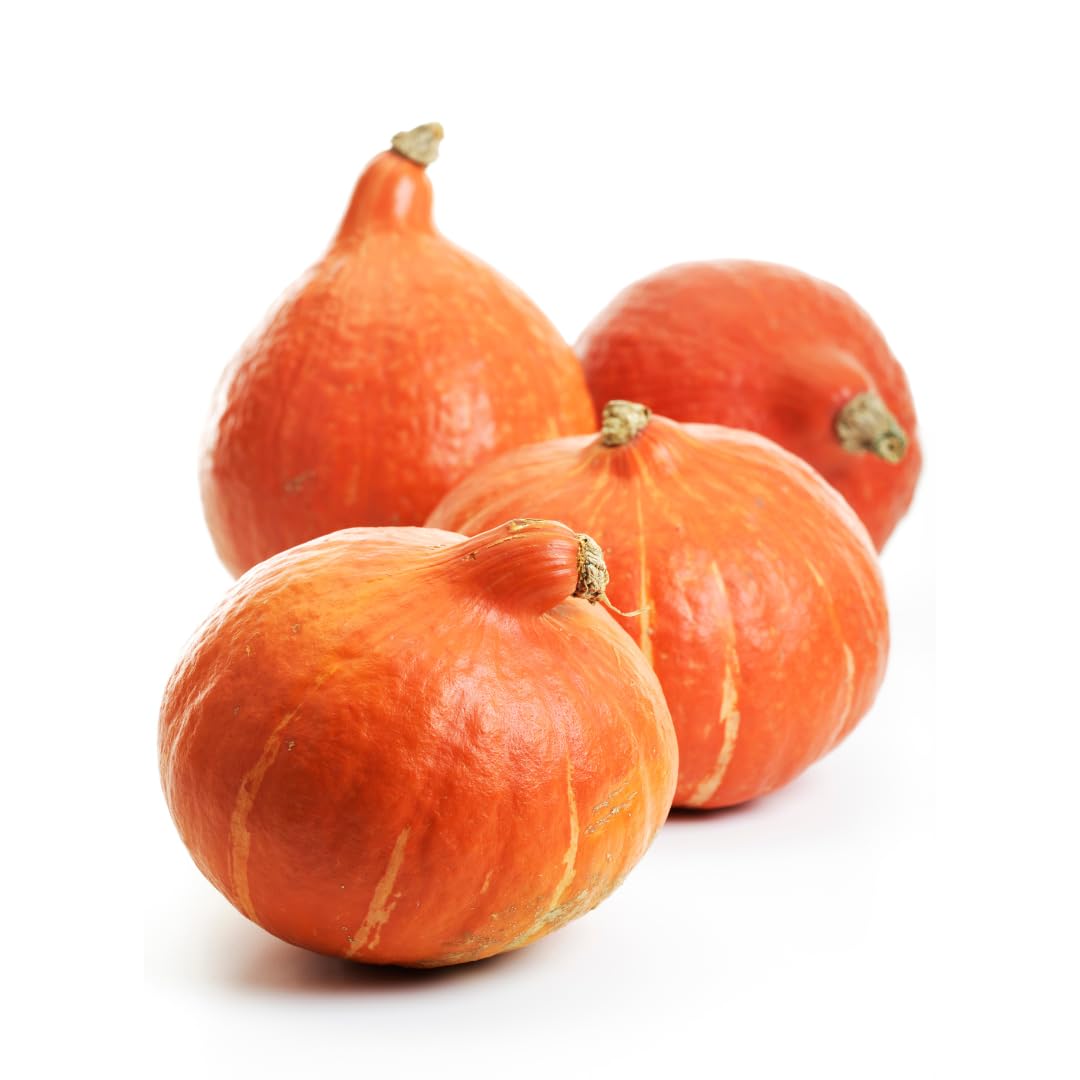 Hokkaido Kürbis | Frischer Hokkaido-Kürbis - Sorte Hokkaido (2 KG) Angebot bei HelloDeals