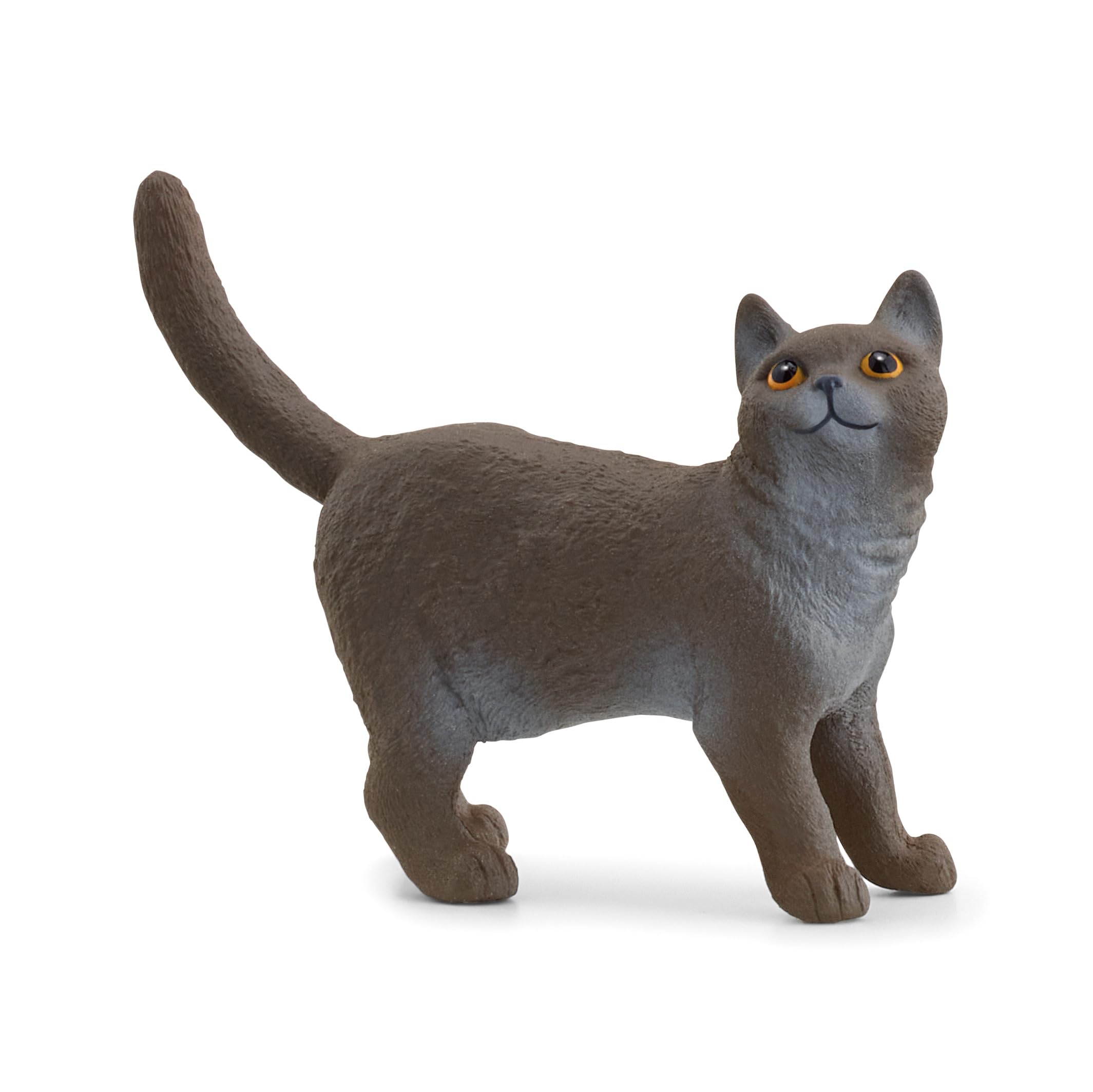 SCHLEICH 13973 Britische Kurzhaar Katze, ab 3 Jahren, Farm World - Spielfigur, 2 x 6 x 4 cm Angebot bei HelloDeals