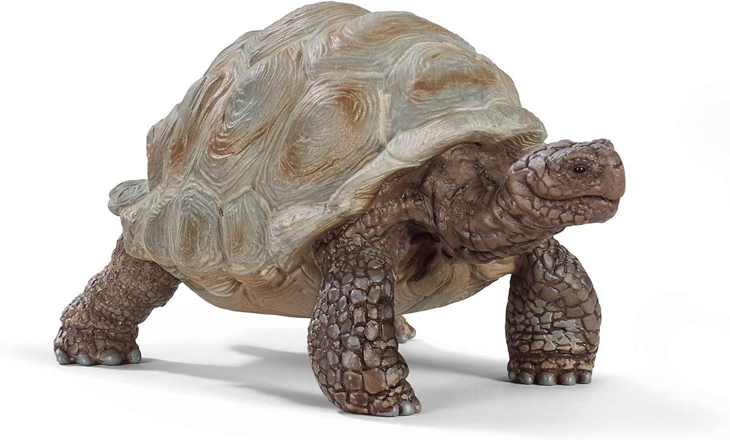 SCHLEICH WILD Life | Riesenschildkröte 14824 | detailgetreue Tierfiguren | Zoo Spielzeug Jungen und Mädchen | Deko für Geburtstag | Spielfigur ab 3 Jahren | 8 x 4 x 4 cm Single Angebot bei HelloDeals