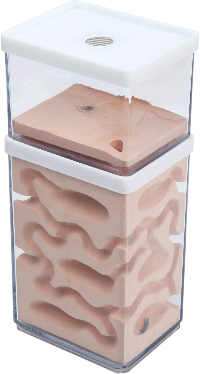 aleawol Natürliche Ameisenfarm Ameisennest Formicarium aus Gips Transparentes Ameisenhaus Ameisen Zucht Box Ameisen Terrarium House Ant Farm Ant Nest Habitat Angebot bei HelloDeals