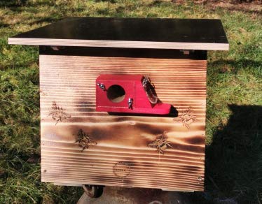 XXXL Hummelkasten mit Wachsmottensperre, 2X Sichtfenster und Nistmaterial geflammt oder Imprägniert Wetterfest Bienenhaus Hummelhaus Nistkasten Hummelvilla Bienen Insektenhaus (geflammt) Angebot bei HelloDeals