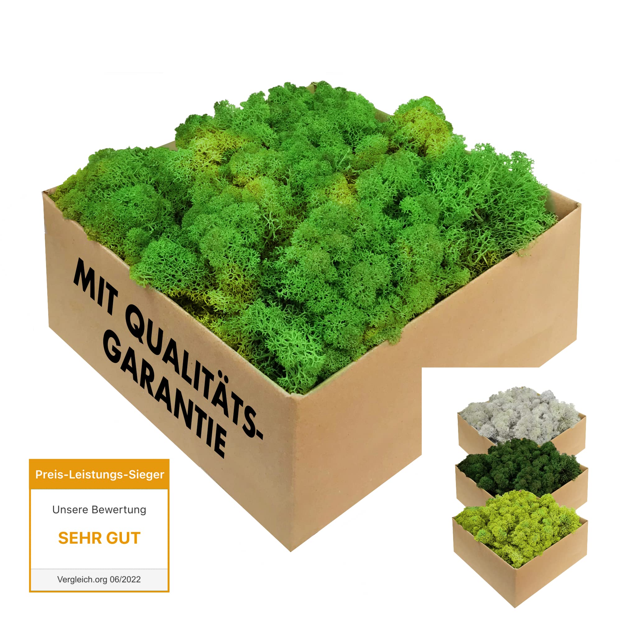 Islandmoos - echtes konserviertes Moos in 200g/500g/1kg/4kg für Moosbilder, als Deko oder zum Basteln (laubgrün, 1kg) Laubgrün 1.0 Kilogramm Angebot bei HelloDeals