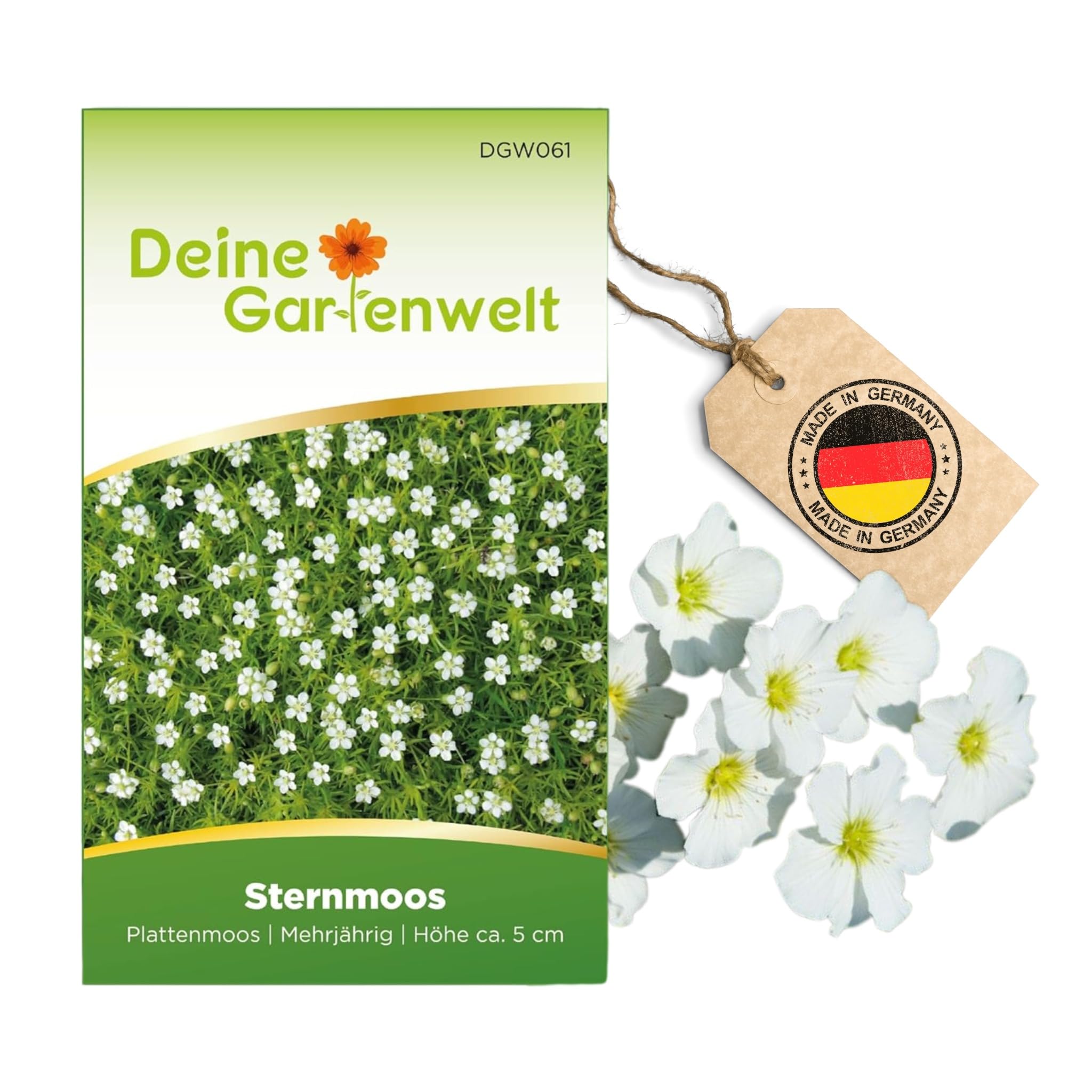 Sternmoos Mastkraut Plattenmoos Samen - Sagina subulata - Sternmoossamen - Saatgut für 400 Pflanzen Angebot bei HelloDeals