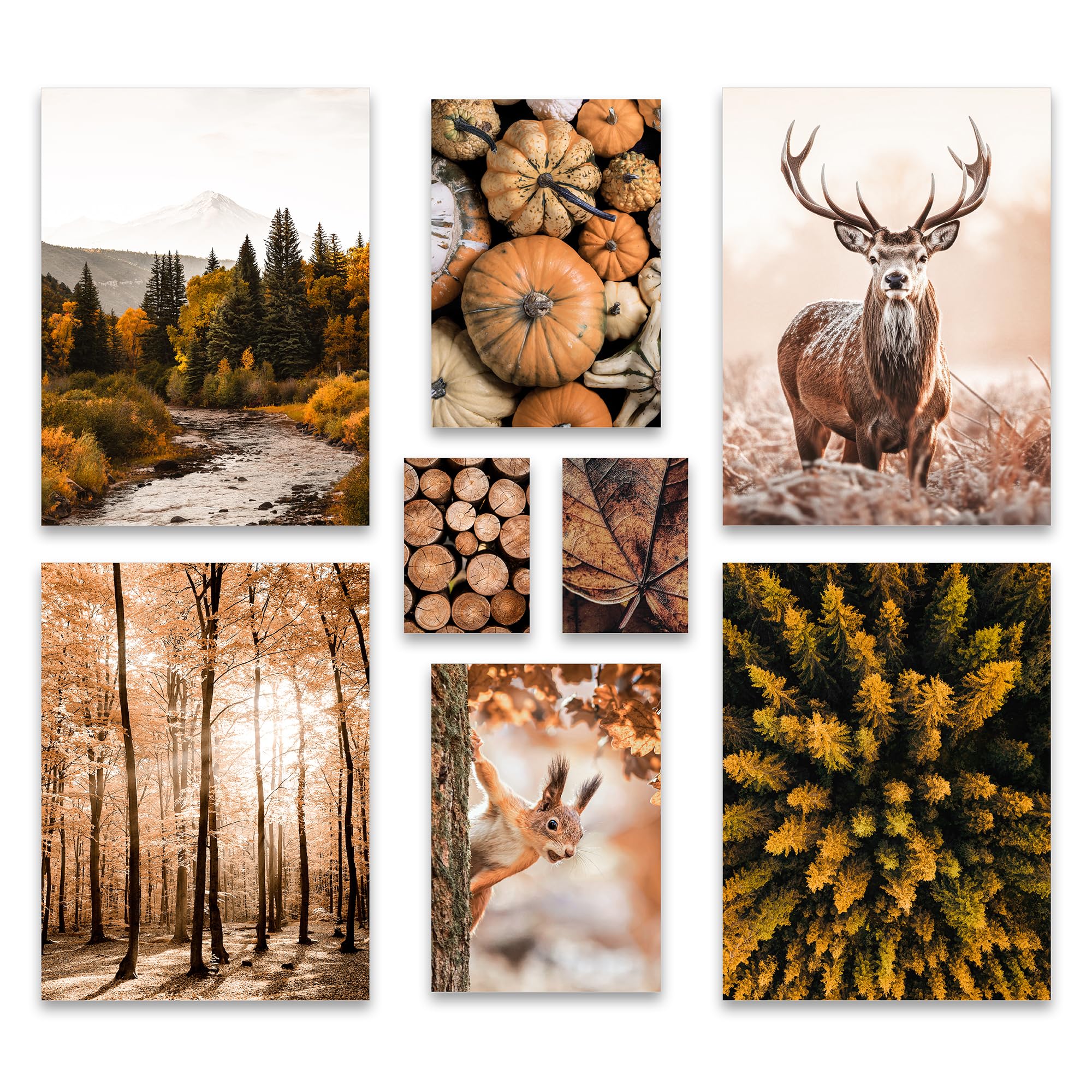 ARTFAVES® Poster Set - AUTUMN FOREST - mehrteilige Wanddeko Wohnzimmer & Schlafzimmer - 8 moderne Wandbilder Herbst, Wald, orange, braun - ohne Bilderrahmen AUTUMN FOREST ohne Rahmen Angebot bei HelloDeals