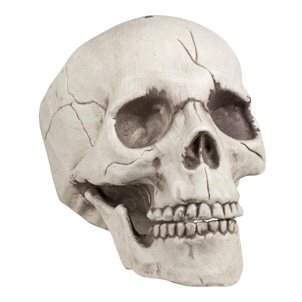 Boland 74378 - Deko Schädel Jawbone mit beweglichem Kiefer, Totenkopf Dekoration für Halloween, Partydeko, Gruselparty Angebot bei HelloDeals