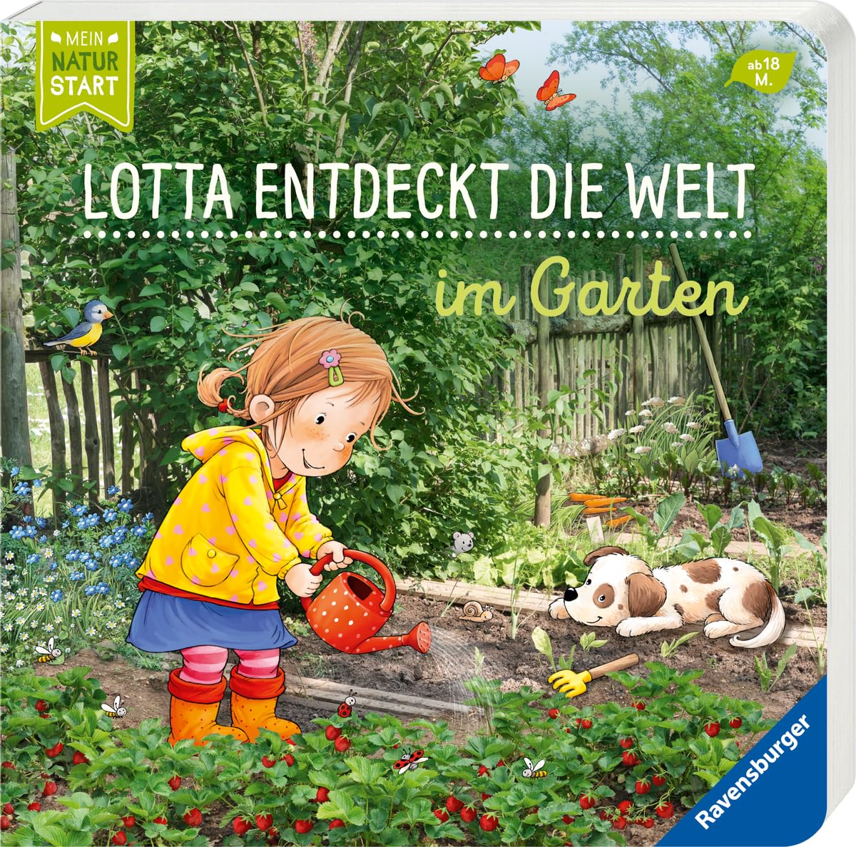 Lotta entdeckt die Welt: Im Garten (Mein Naturstart) Angebot bei HelloDeals