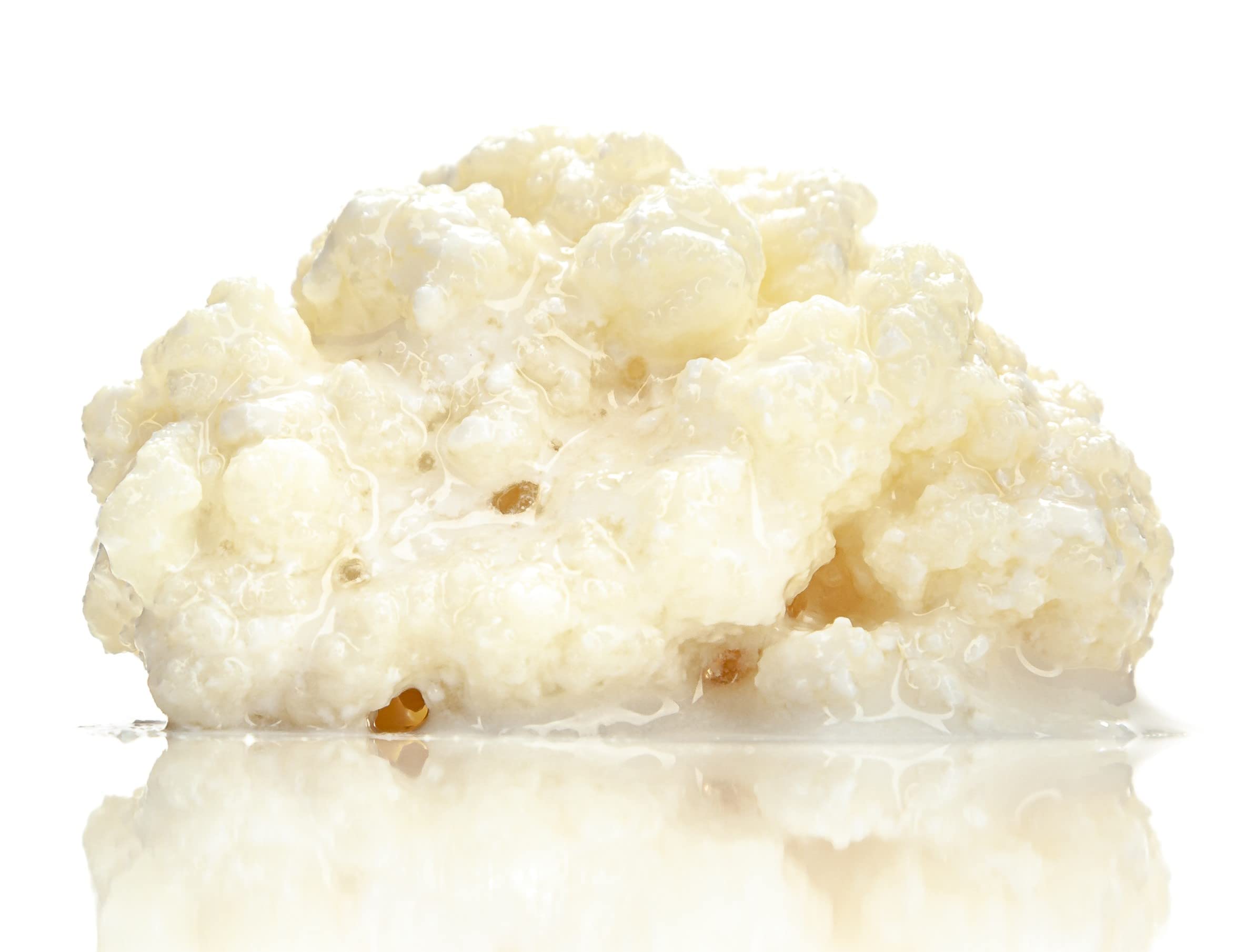 Kefir-for-all, Milchkefir, Kaukasische Kefirknollen, Starterkultur zur Herstellung von Kefir, wachstumsstark Angebot bei HelloDeals