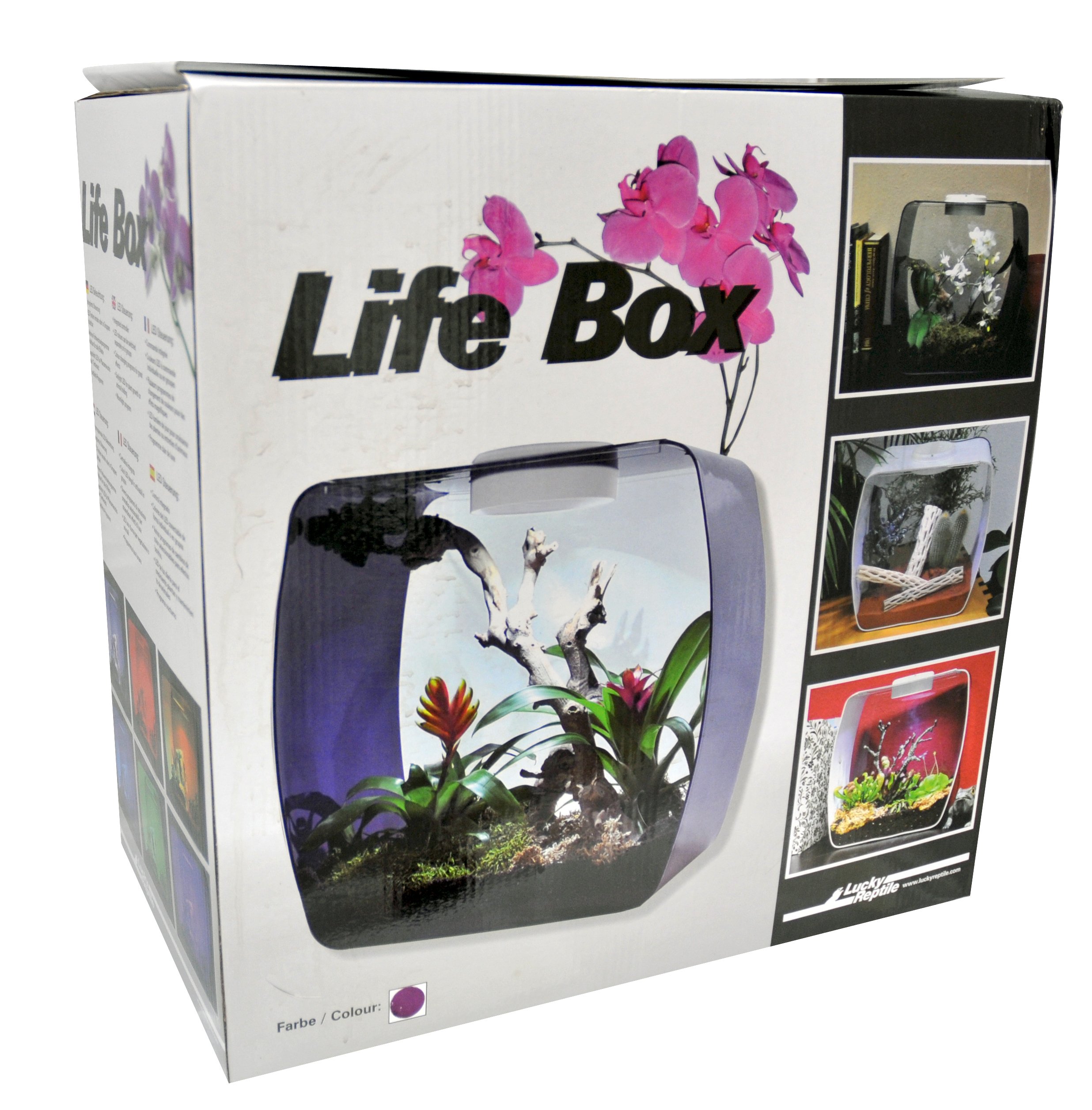 Lucky Reptile Life Box, Größe:30x18x30 cm. Farbe Beere beere klein Angebot bei HelloDeals