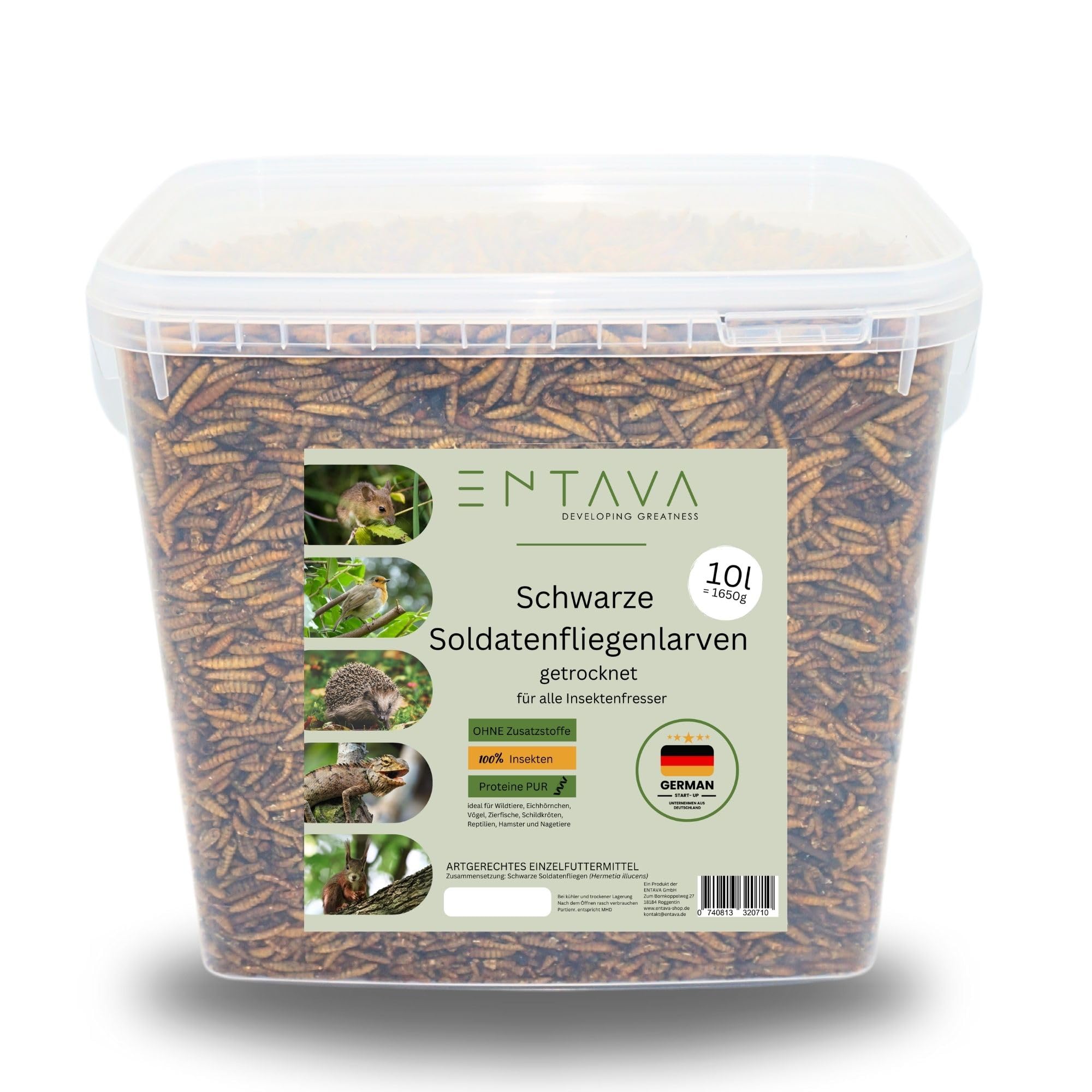 ENTAVA 10l Soldatenfliegenlarven getrocknet in Premium-Qualität, Vogelfutter, Koifutter, Igelfutter, Eichhörnchenfutter, ganzjähriges Futter für Wildvögel (10 Liter (1400g)) (10l) Angebot bei HelloDeals