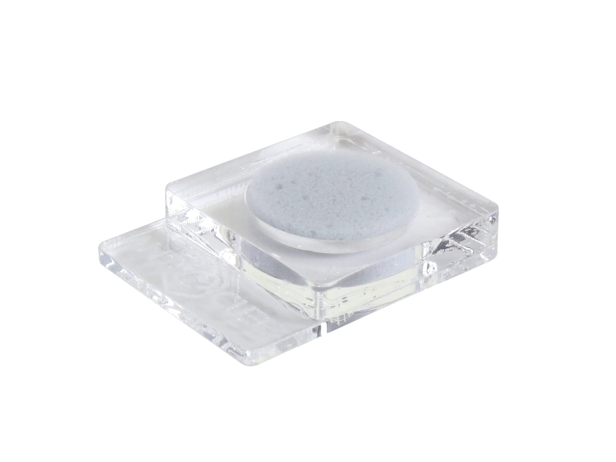 ANTCUBE Napf klar 1x20 - Schwamm für Insekten Angebot bei HelloDeals