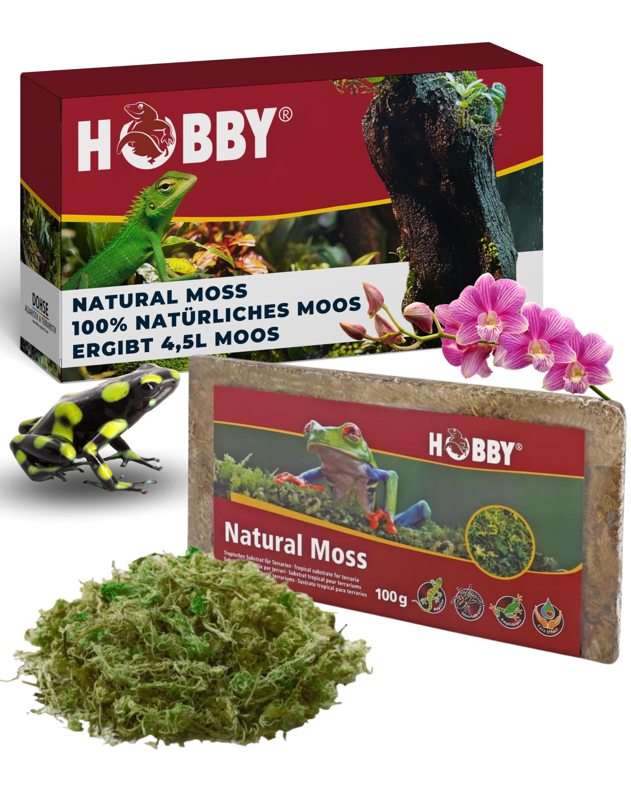 HOBBY Terraristik Natural Moss I 100g I tropisches Substrat für Terrarien und Orchideen I Moos für Terrarien I 100% natürlich und ohne chemische Zusätze I Moos zur Erhöhung der Luftfeuchtigkeit Angebot bei HelloDeals