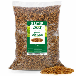 HÜHNER Land Mehlwurm Schmaus, Feinkost Mehlwürmer getrocknet 5 Liter für Ziergeflügel, Reptilien - Ziergeflügelfutter ohne Zusätze Angebot bei HelloDeals