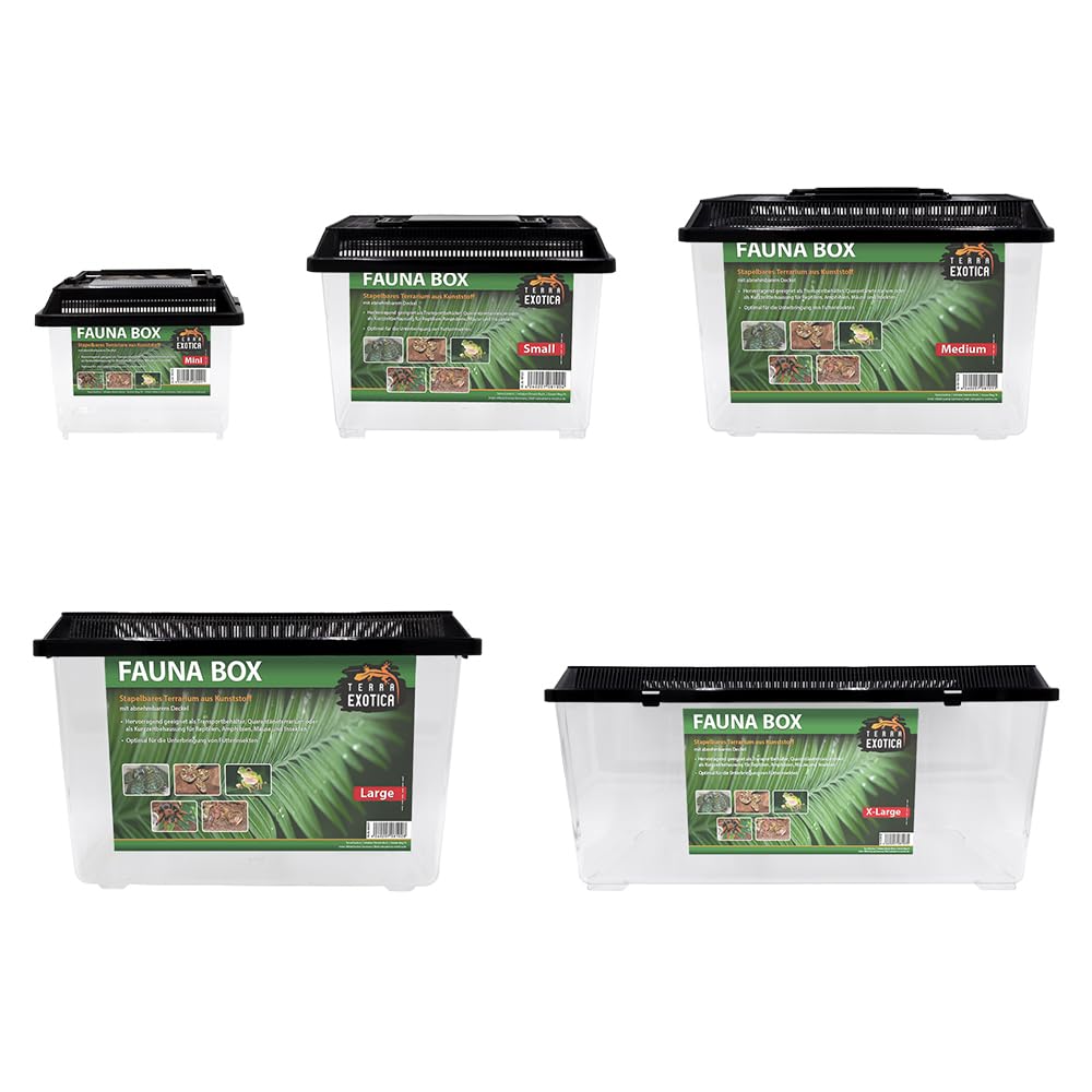 Terra Exotica Fauna Box in 5 Größen erhältlich (small 23 x 15 x 16,5 cm) Transportbox/Quarantäneterrarium für z.B. Reptilien, Amphibien, Kaninchen, Mäuse, Vögel - Terrarium Angebot bei HelloDeals