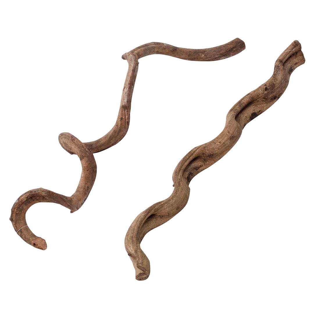 Terra Della, Lianes SM – 75 cm, Naturholz für Terrarien, natürliche Liane, extrem dekorativ, sicher, kann gereinigt Werden, Nicht für Aquarien geeignet <> 75 cm Angebot bei HelloDeals