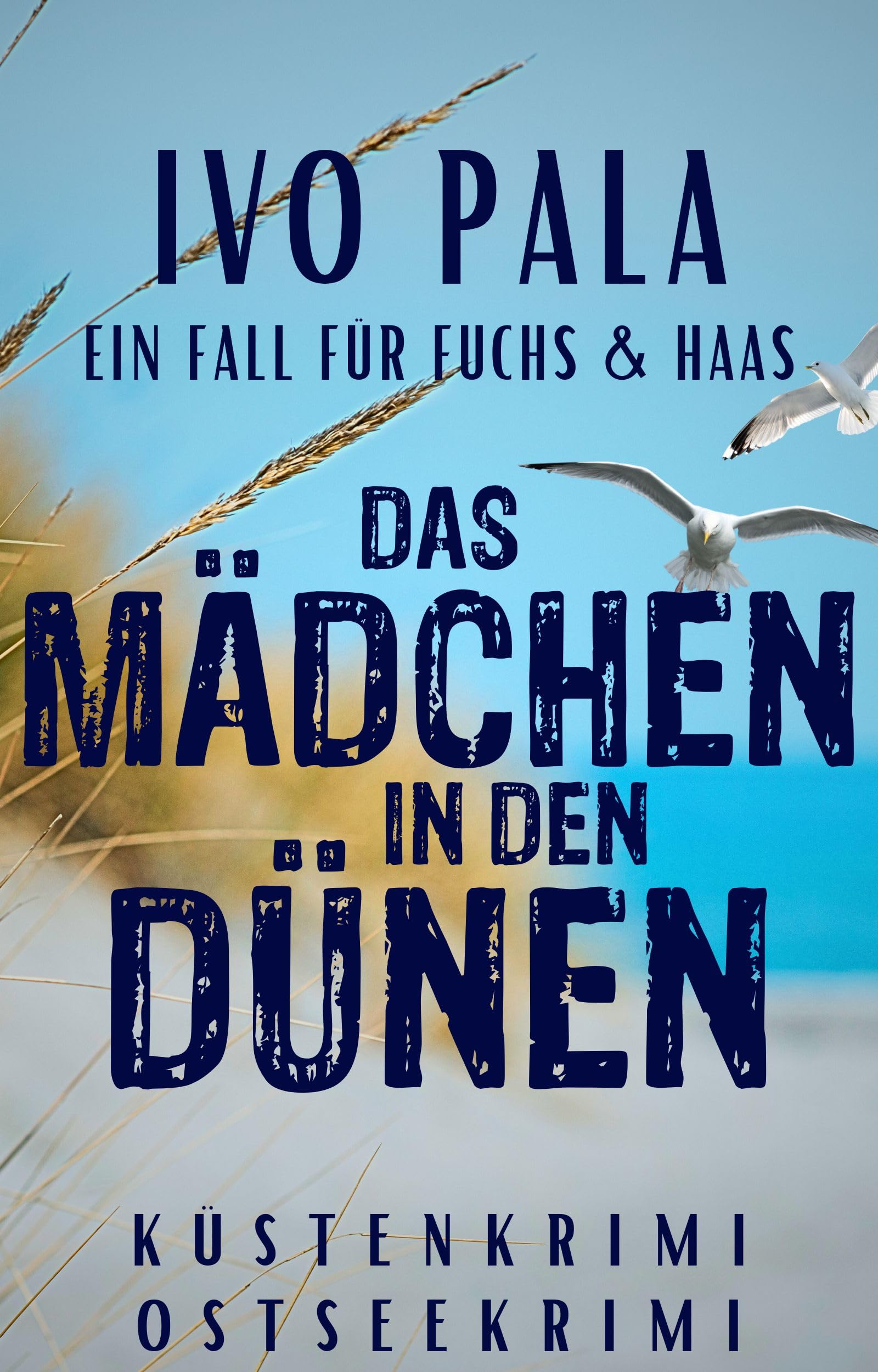 Ein Fall für Fuchs & Haas: Das Mädchen in den Dünen - Küstenkrimi - Ostseekrimi Angebot bei HelloDeals