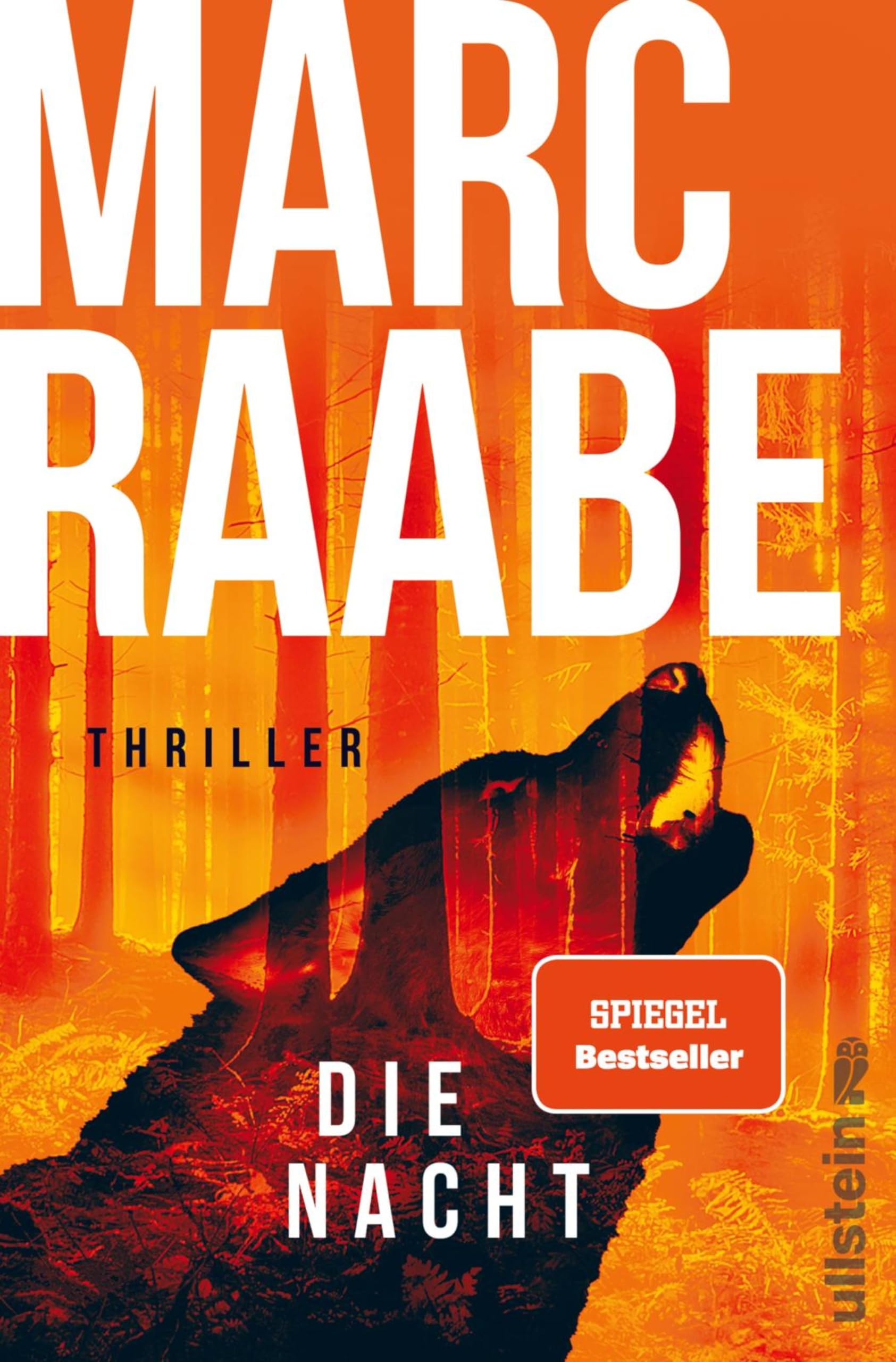 Die Nacht: Thriller | Bestseller von Marc Raabe bringen Sie um den Schlaf! (Art Mayer-Serie 3) Angebot bei HelloDeals