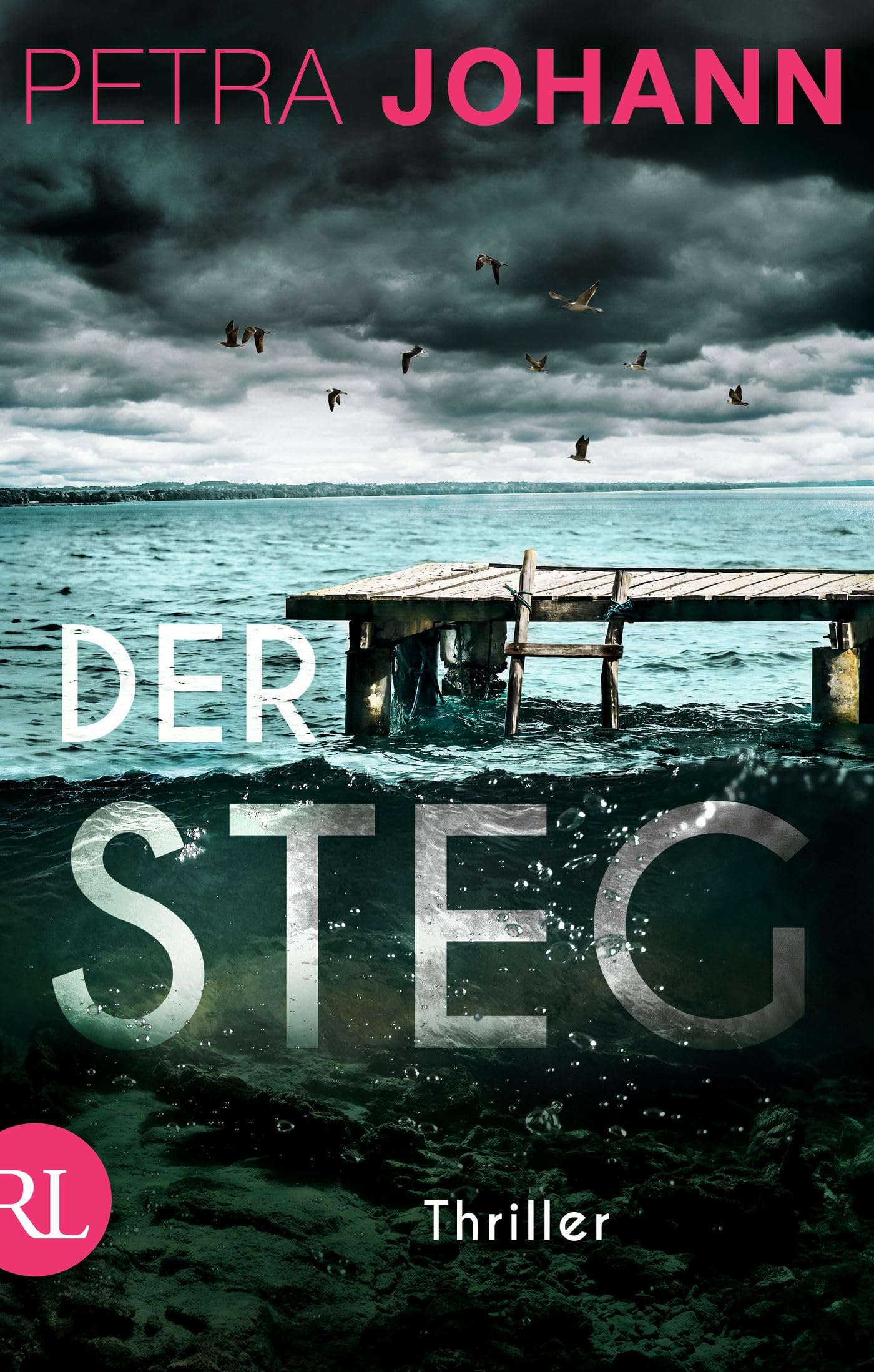 Der Steg: Thriller Angebot bei HelloDeals