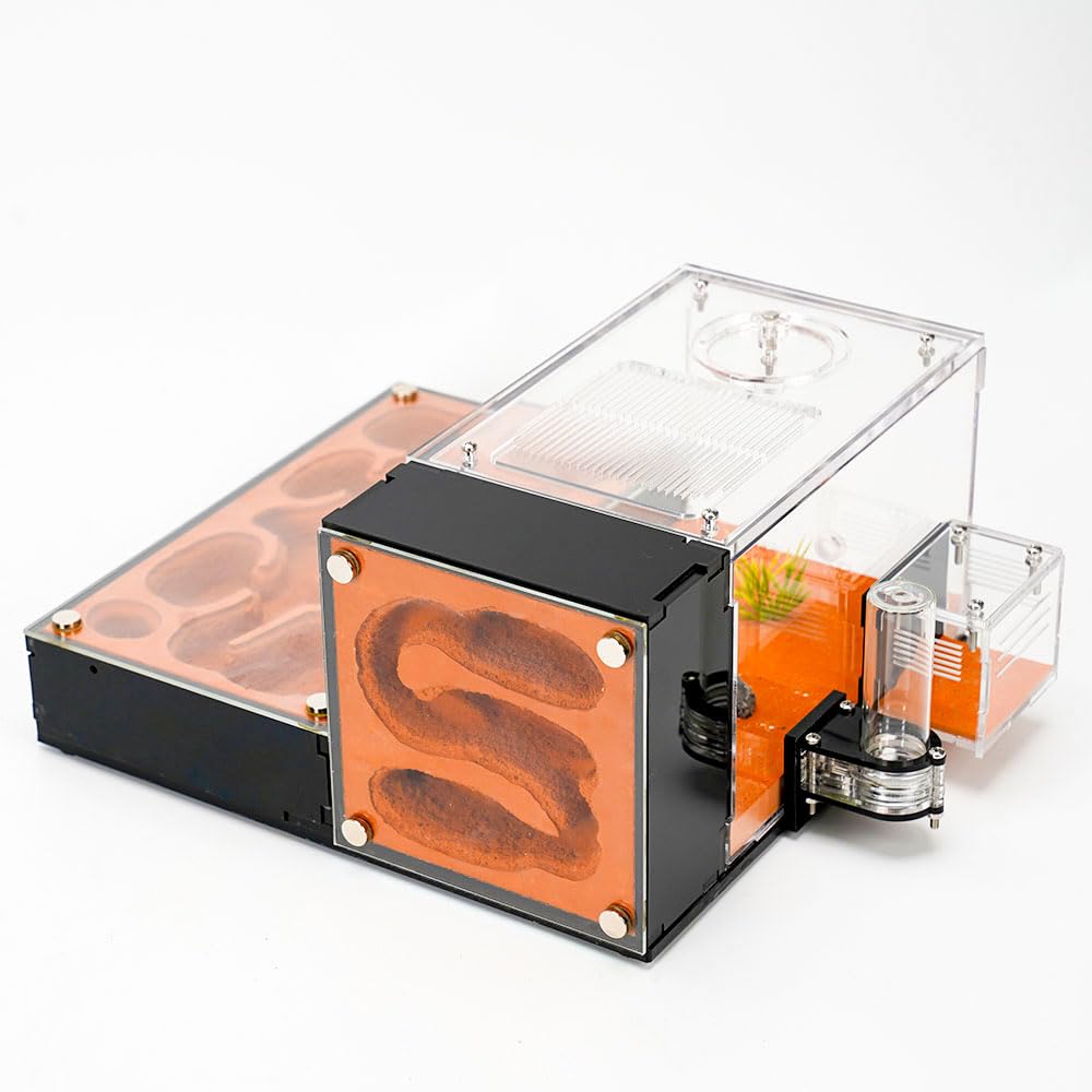 Rimsunta Ameisenfarm für lebende Ameisen - für kleine Ameisen-Klonie - Natürliches Lernspielzeug - Tolles Geschenk Angebot bei HelloDeals