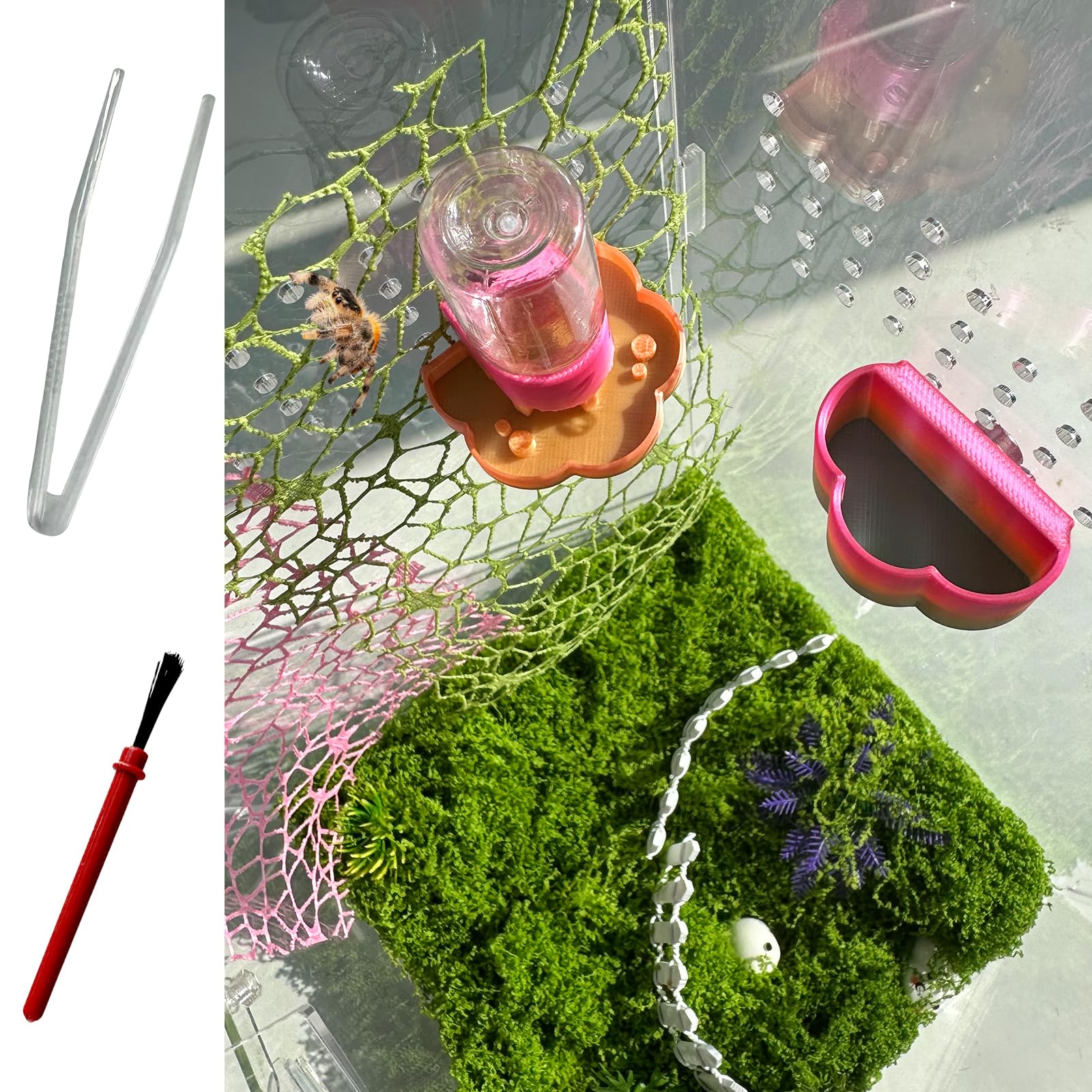 Heyshapeing Springspinnen-Kits – Magnetischer Wasserspender zum Aufhängen und Futternapf mit Reinigungsbürste und Pinzette, 8 ml, ideal für springende Spinnen, Arboreale Haustiere und Kleintiere bunt Angebot bei HelloDeals