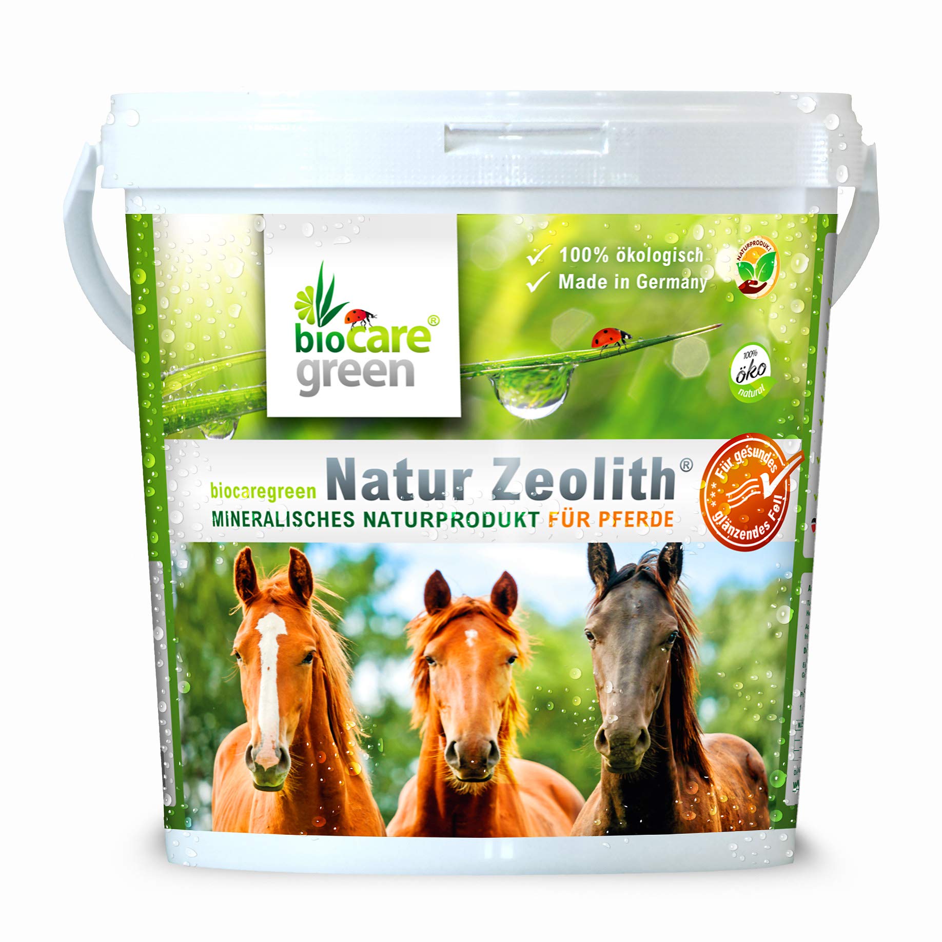 Biocaregreen Natur Zeolith Pferd | 1kg, Garantierte Vermahlung auf 50 μm | Nahrungsergänzung für Pferde Angebot bei HelloDeals
