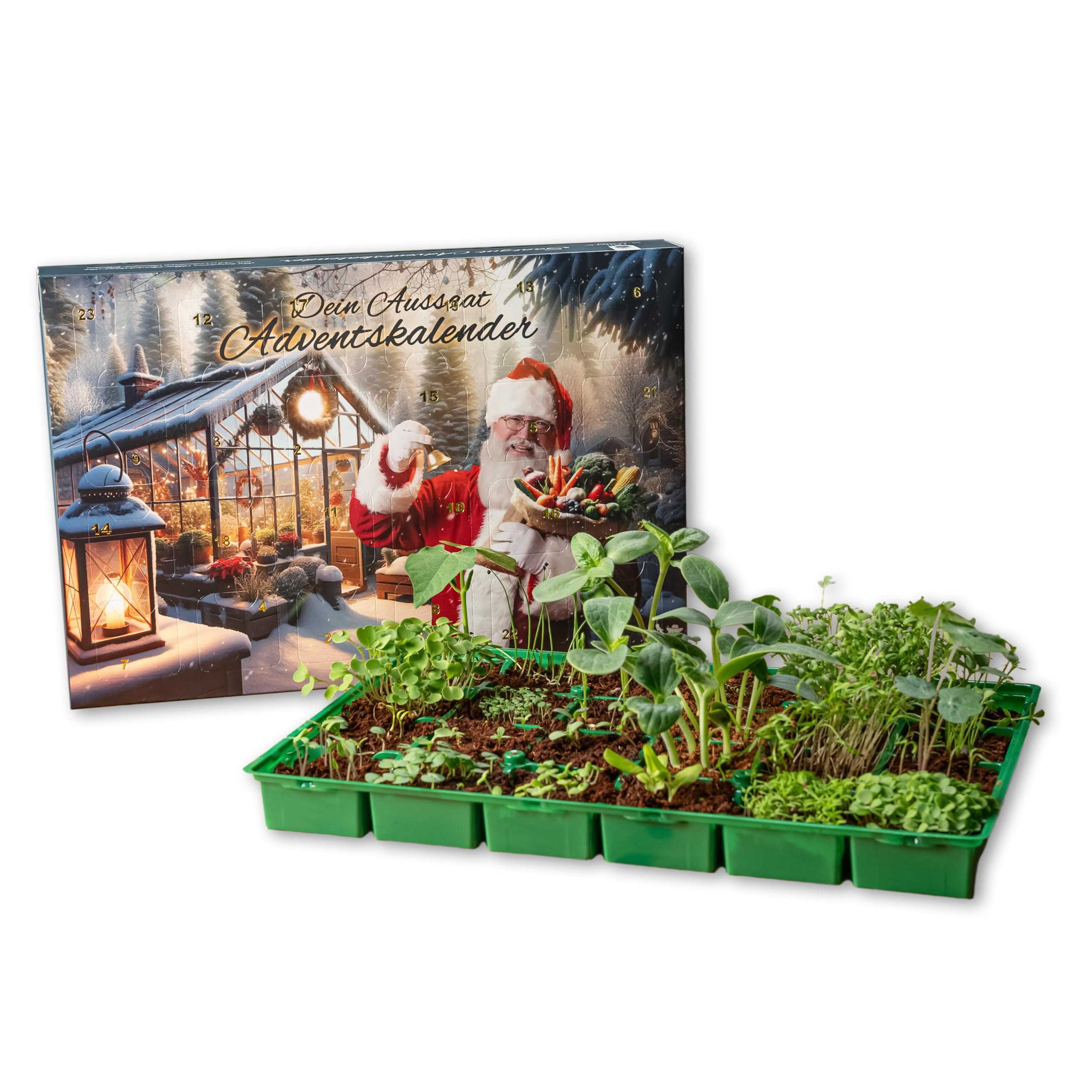 Adventskalender 2025 | Dein Aussaat & Anzucht Adventskalender mit Saatgut und Gewächshaus | Der Samen Weihnachtskalender für deinen Garten | Geschenk für alle Gartenfreunde Angebot bei HelloDeals