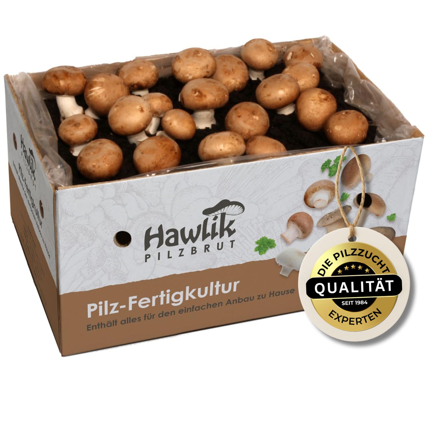 Champignons selber züchten – Steinchampignon Pilzzuchtset XXL – Pilze kinderleicht anbauen – Großes Komplettset - Pilze züchten Set ideal für Anfänger/als Geschenke für Gartenfreunde Angebot bei HelloDeals