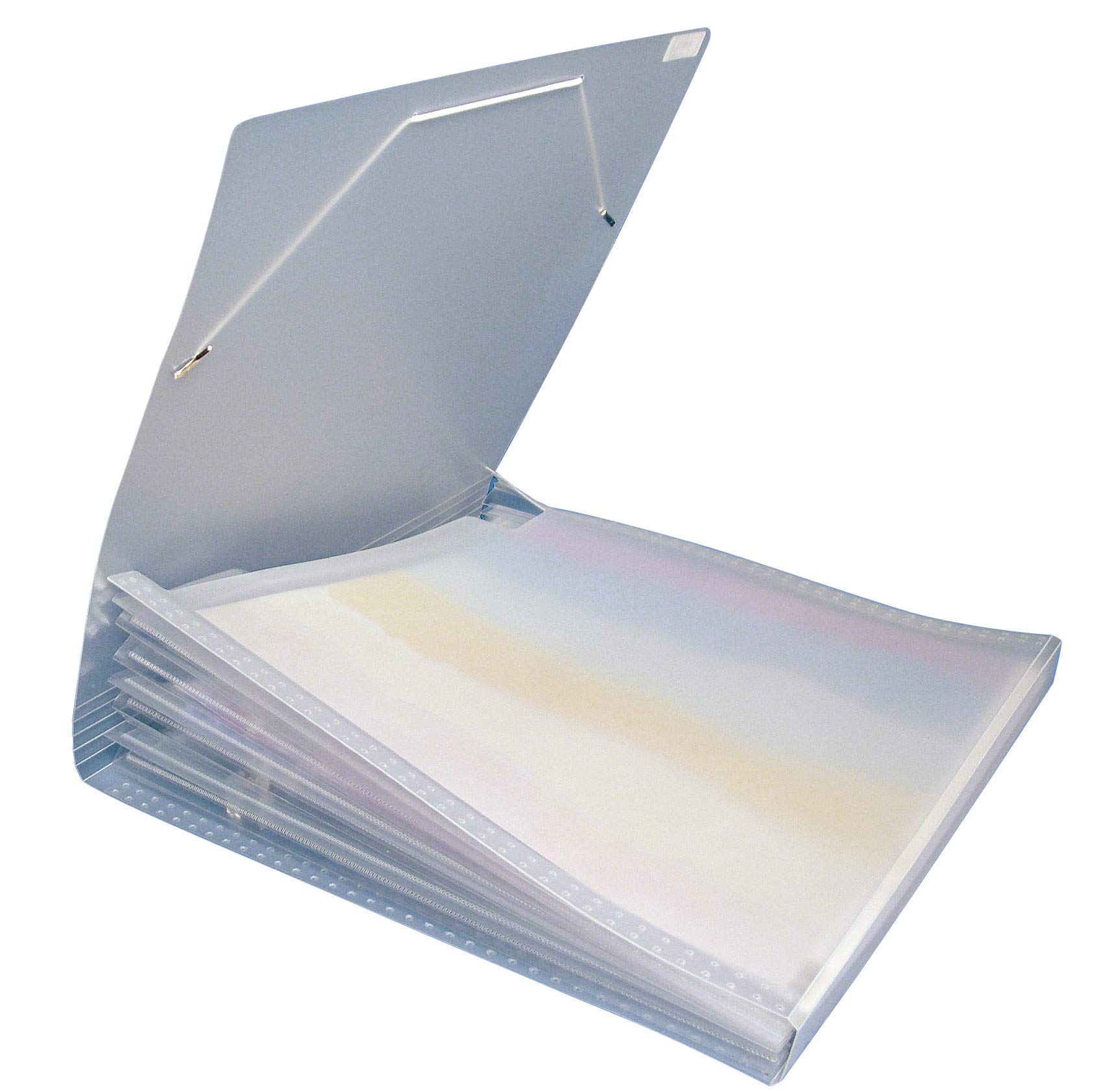 Rayher Fächertasche für Scrapbooking-Papiere, 33 x 33,5 cm, 7 Fächer, transparenter Kunststoff, Gummibandverschluss, Sortiermappe, 7870500, Grau Angebot bei HelloDeals