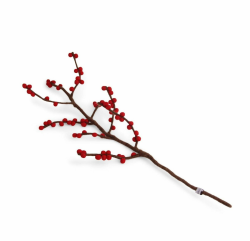 Gry & SIF Beeren-Zweig aus Filz, Flexibler Stiel, Deko-Zweig für Vasen, künstliche Hagebutten, Kunstzweig, handgemachte Herbstdeko | 1x Zweig mit rote Beeren, 60cm Angebot bei HelloDeals